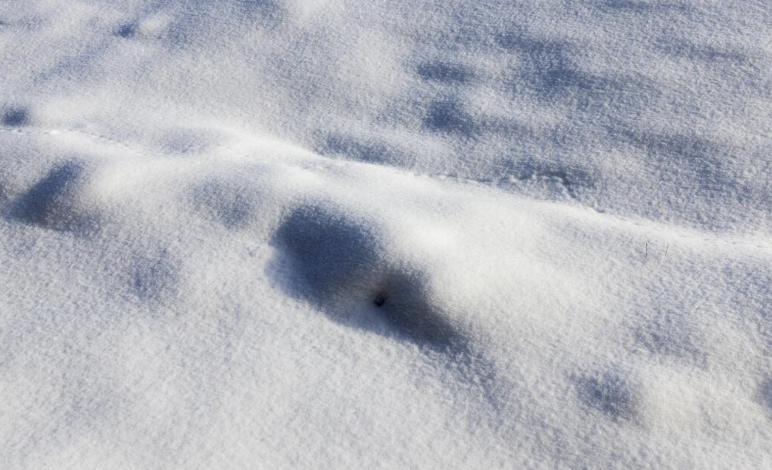 a bumpy blanket of snow  
